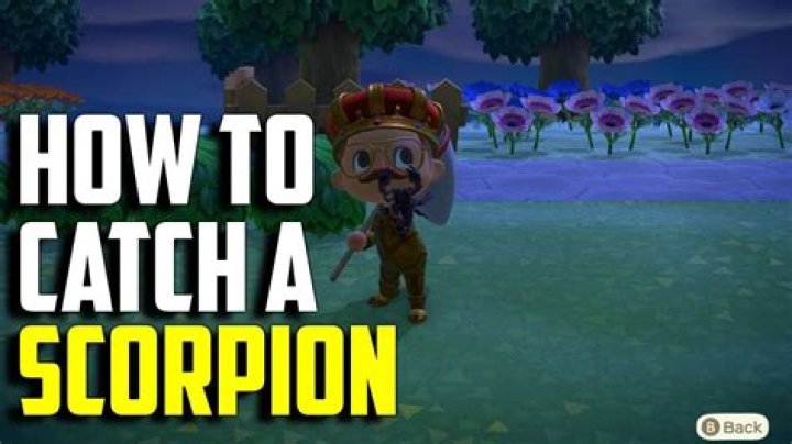 Animal Crossing New Horizons – How to Catch a Scorpion