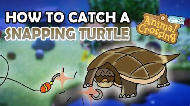 Animal Crossing New Horizons – How to Catch a Snapping Turtle