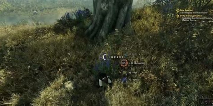 Materials And Skills Upgrading Guide