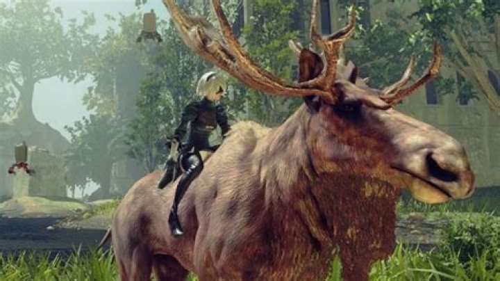 
NieR: Automata Guide: How To Ride Animals