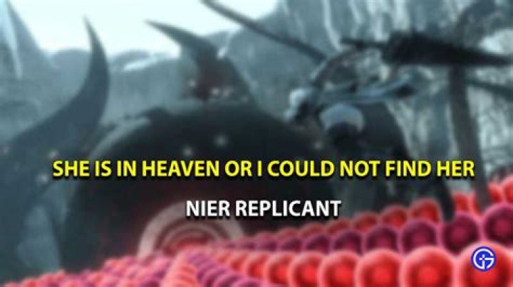 She's In Heaven Or I Couldn't Find Her Choice Guide