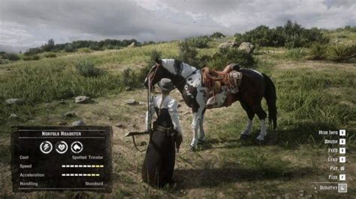 Red Dead Online Norfolk Roadster