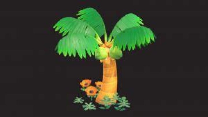 How To Grow A Palm Tree In Animal Crossing New Horizons