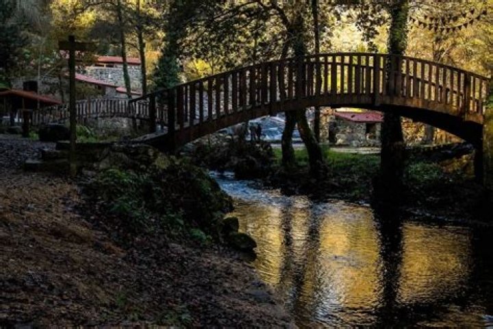 Words Created Using the Letters in 'park'