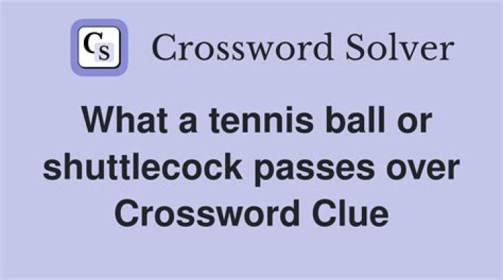 Passes over Crossword Clue and Answer
