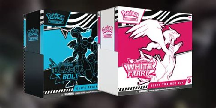 
Pokemon Black & White to Release Spring 2011 in US