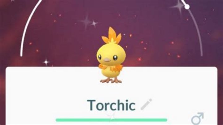 
Pokemon GO Community Day: How to get Shiny Torchic and Blaziken