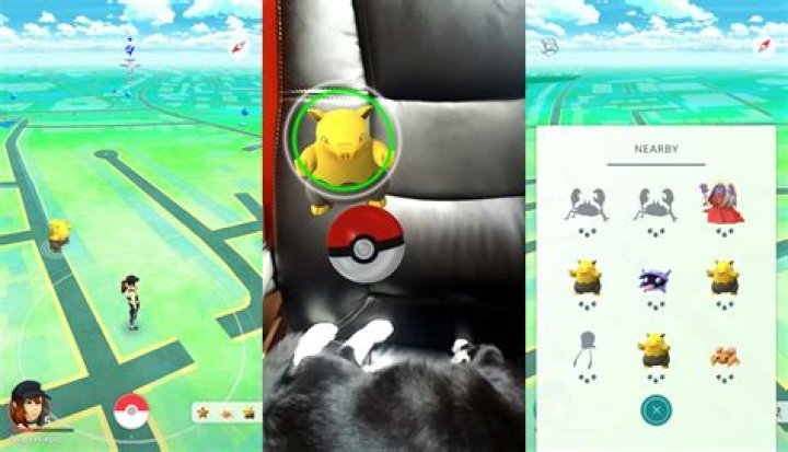 
Pokemon Go Guide: What to do with Extra Pokemon
