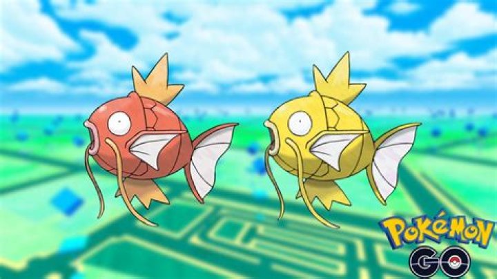 
Pokemon GO Magikarp Spotlight Hour Guide: Can Magikarp Be Shiny?