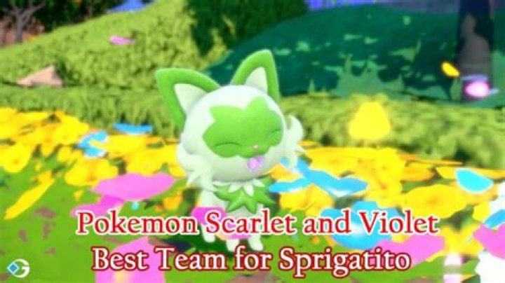 Pokemon Scarlet and Violet: Best Team To Pair With Sprigatito