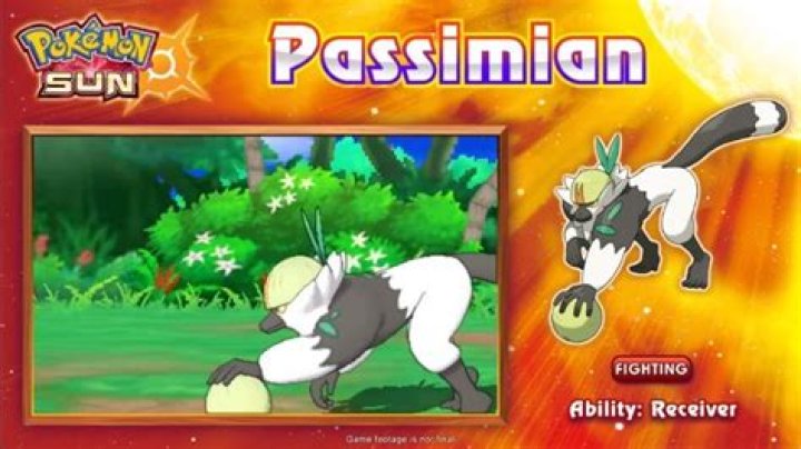 
Pokemon Sun and Moon Trailer Gives a Look at Version Exclusives