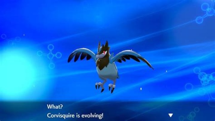 
Pokemon Sword and Shield – How To Evolve Corvisquire Into Corviknight