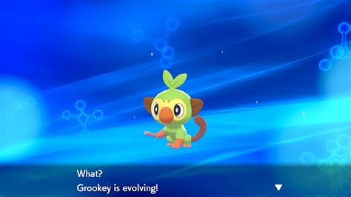 
Pokemon Sword and Shield – How To Evolve Grookey Into Thwackey