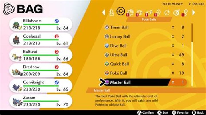 Pokemon Sword and Shield - How To Get Master Ball