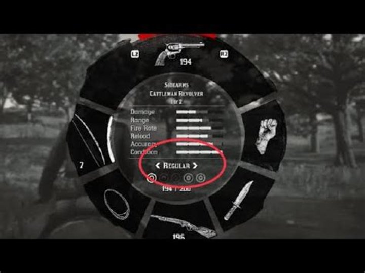 
Red Dead Redemption 2: How to Change Ammo Type