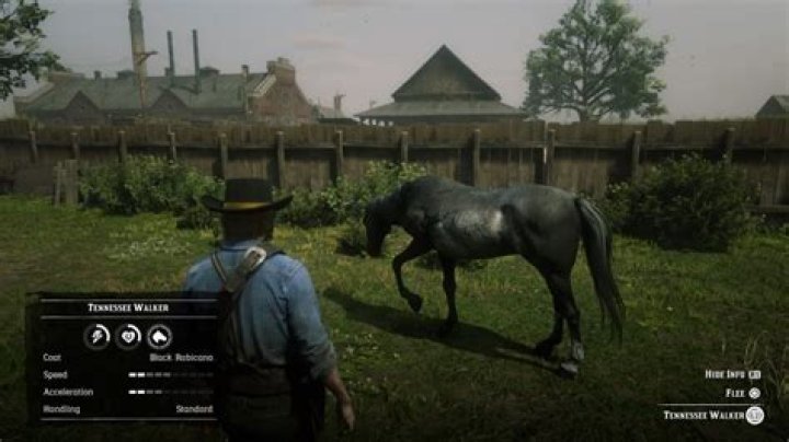Red Dead Redemption 2: How To Find Every Horse In One Spot | Stable Trick Guide