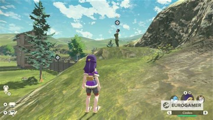 Request 41 'An Elegant Tail' in Pokémon Legends Arceus explained