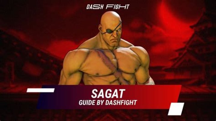 
Why Sagat And Blanka Aren’t In Street Fighter 5 Yet