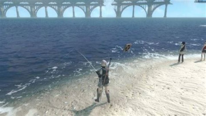 Nier Replicant: Where To Find Sardines