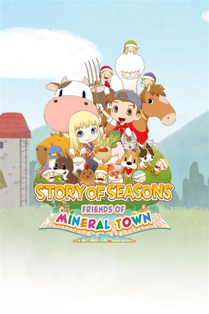 How To Save The Game In Story Of Seasons: Friends Of Mineral Town?