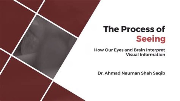 Words Created Using the Letters in 'seeing'