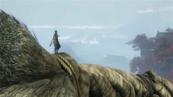 
Sekiro: Shadows Die Twice How to Access Divine Realm