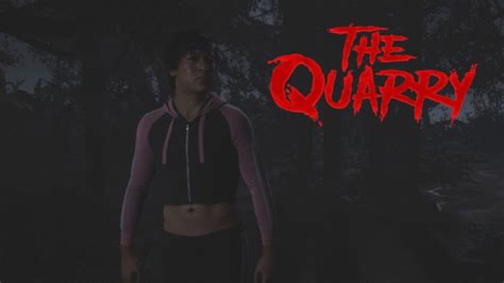 
Should Max Swim to Shore or Wait in The Quarry?