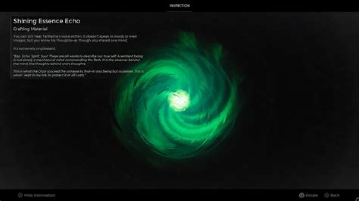 Should You Give the Custodian the Item in Remnant 2?