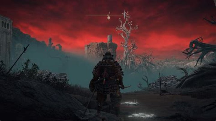 
Should You Kill the Giant White Dragon in Elden Ring?