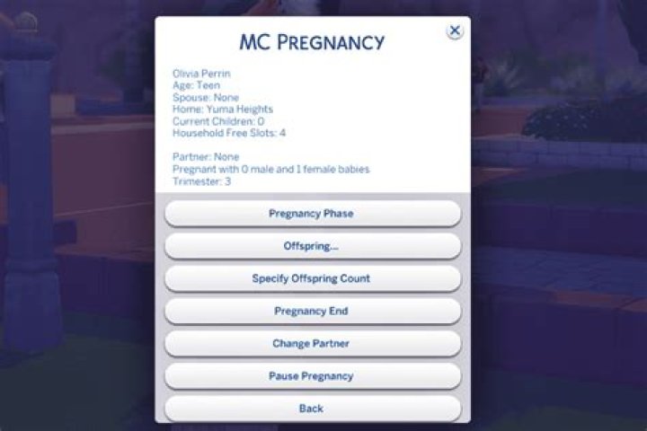 The Sims 4 Pregnancy Cheats