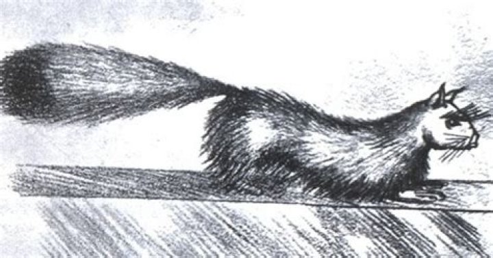 Someone should make a game about: Gef the Talking Mongoose