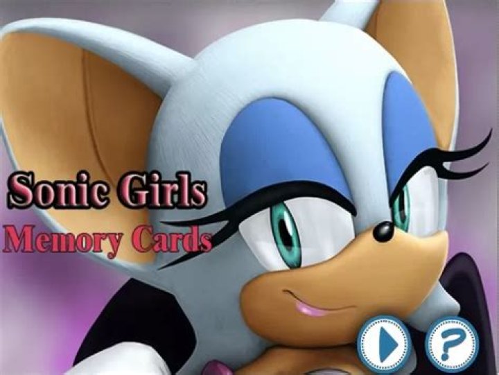 Sonic Girls Memory Cards - Sonic Boom Games