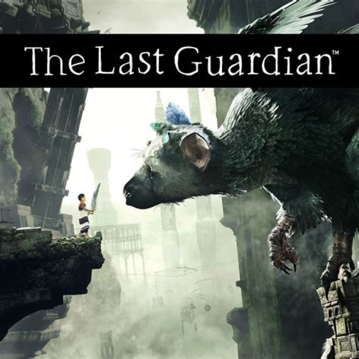 
When will Sony finally show The Last Guardian?