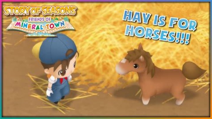 Friends Of Mineral Town Horse Guide