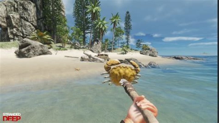 Does Stranded Deep PS4 and Xbox One have a multiplayer mode?