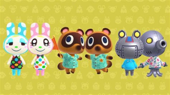 The 10 best roommate pairs in Animal Crossing: New Horizons Happy Home Paradise