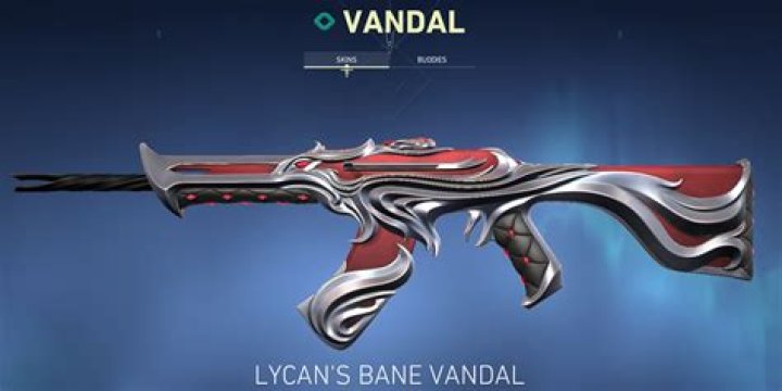 The 10 best Vandal skins in Valorant