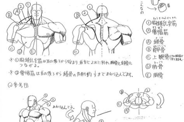The anatomy of a Street Fighter