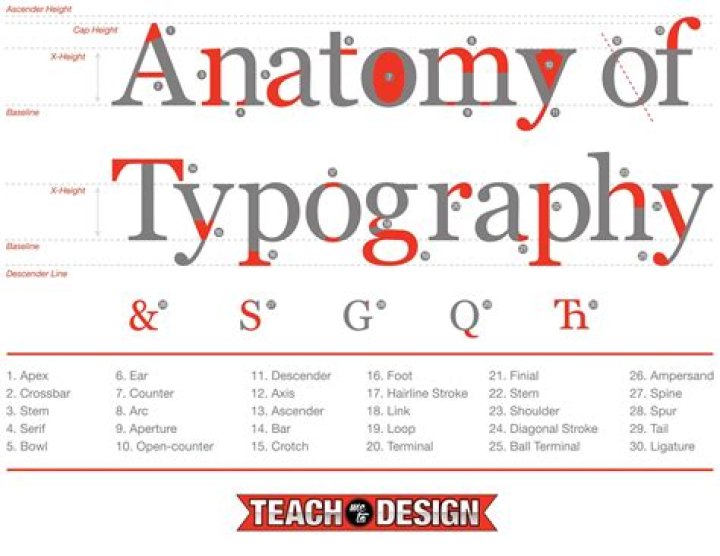 The Anatomy of Typography Game