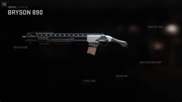 The Best Bryson 890 Loadout in Modern Warfare 2