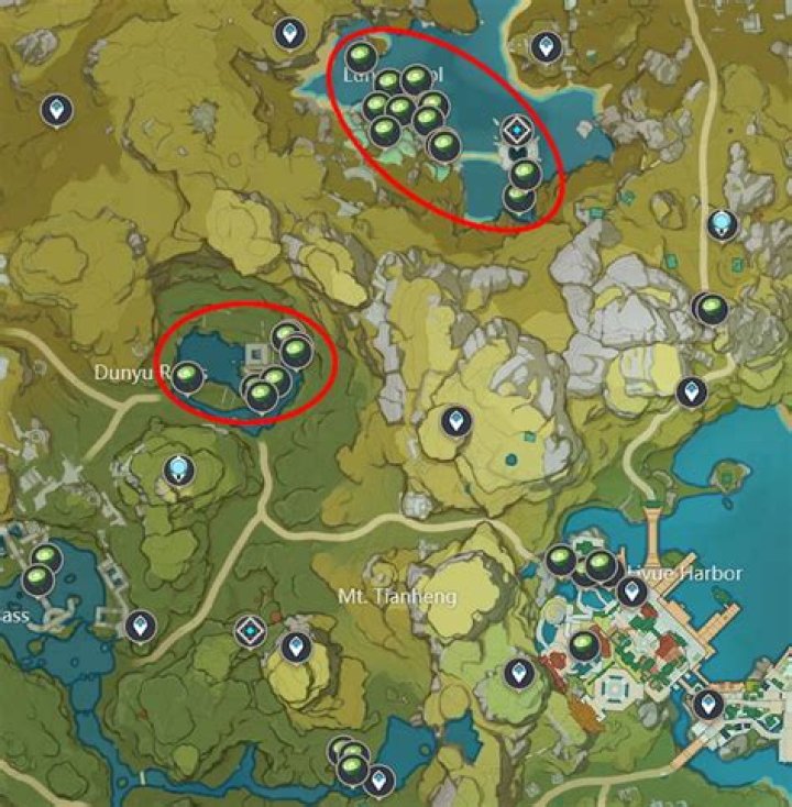 The best places to farm Lotus Head in Genshin Impact - Lotus Head locations