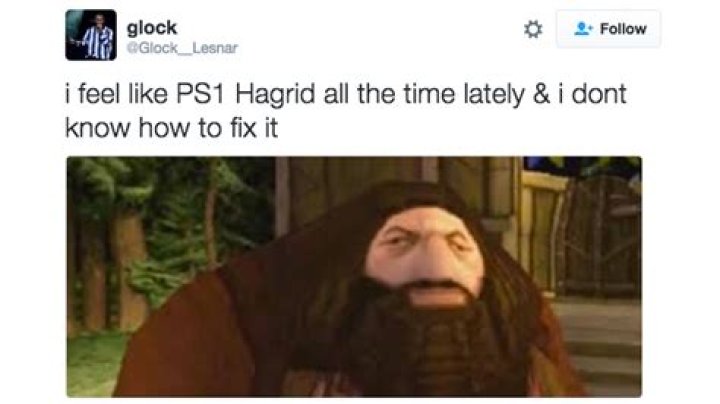 The best PS1 Hagrid memes — PS1 Hagrid meme, explained