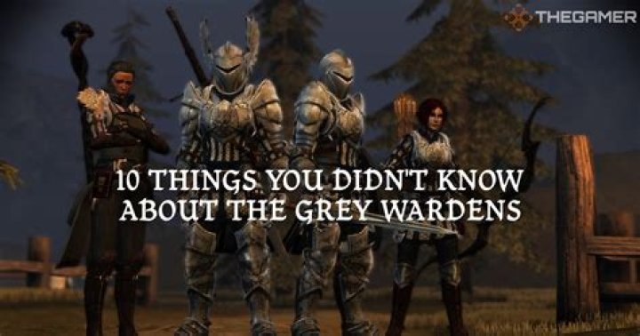 The first draft of Dragon Age: Origins didn't even have Grey Wardens