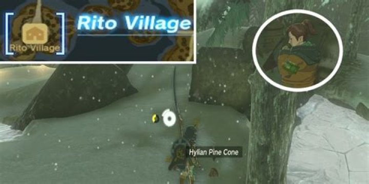 Tears of the Kingdom - Rito Village Location in TotK