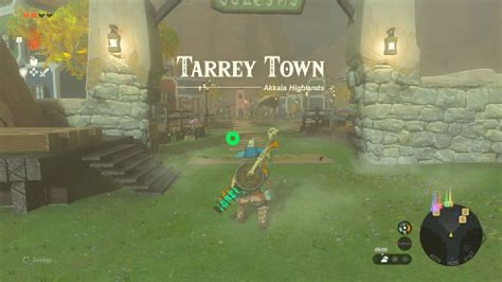 Tears of the Kingdom - How to get to Tarrey Town in TotK