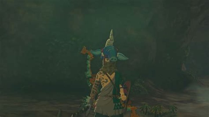 Tears of the Kingdom - What Are Billson Mushrooms in TotK