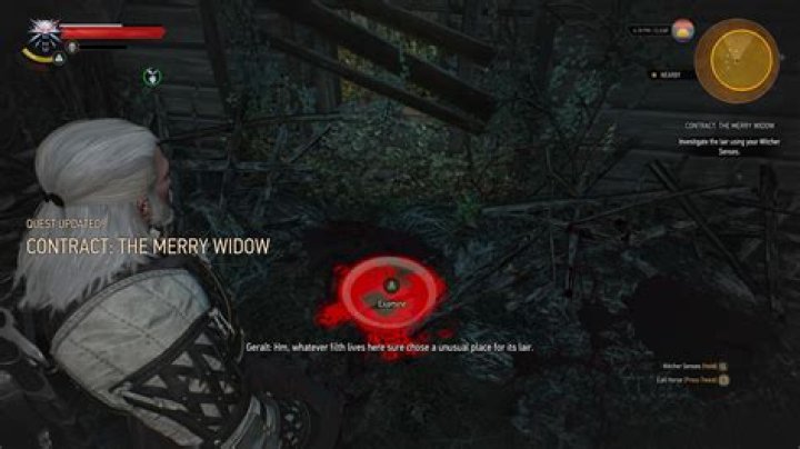 The Witcher 3 - Woodland Beast