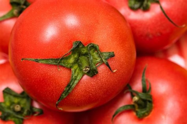 Words Created Using the Letters in 'tomato'