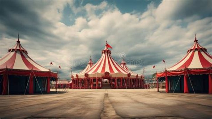 Travelling company of clowns and acrobats Word Hike – Answers