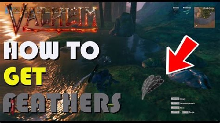 Valheim: How To Get Feathers Easily